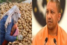 योगी सरकार का आलू किसानों को बड़ा तोहफा, भंडारण शुल्क में ₹1 किलो राहत
