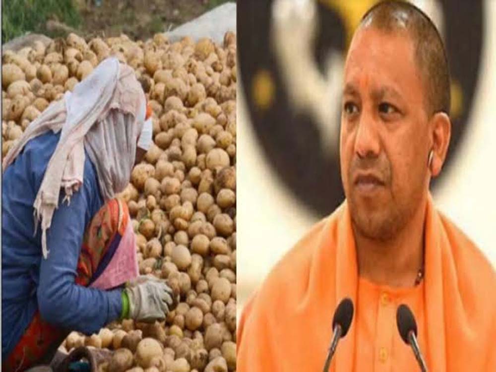 योगी सरकार का आलू किसानों को बड़ा तोहफा, भंडारण शुल्क में ₹1 किलो राहत योगी सरकार का आलू किसानों को बड़ा तोहफा, भंडारण शुल्क में ₹1 किलो राहत