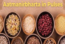 मिशन फॉर आत्मनिर्भरता इन पल्सेस की गतिविधियों की मॉनिटरिंग के लिए राज्य संचालन समिति गठित