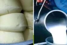 यूपी में मिलावटखोरों पर बड़ा शिकंजा, 26 लाख की खाद्य सामग्री जब्त; 18 FIR दर्ज