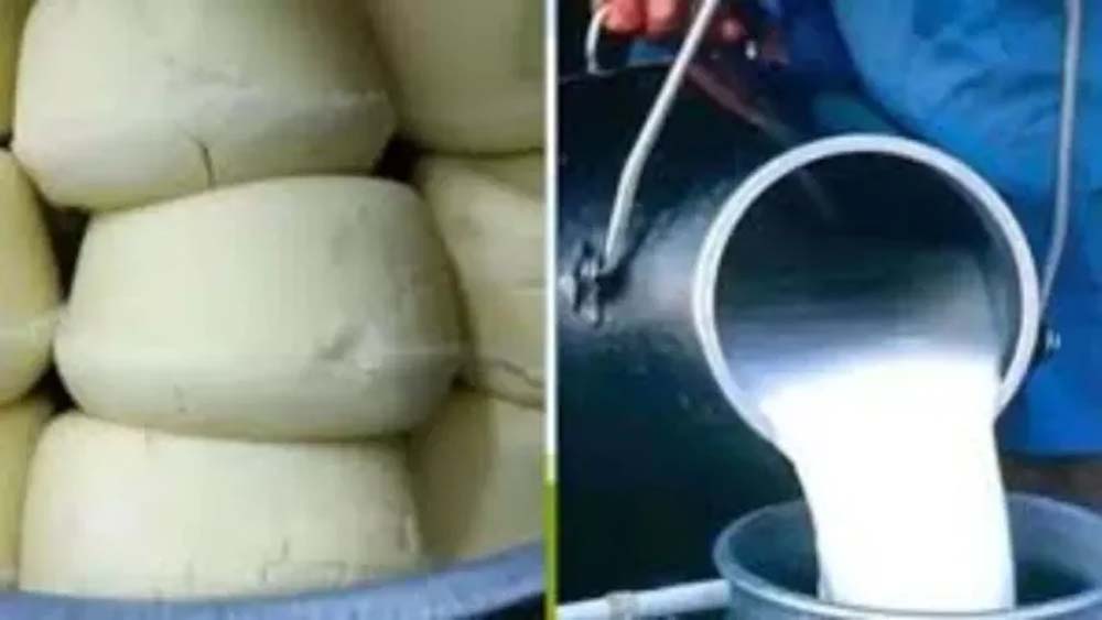 यूपी में मिलावटखोरों पर बड़ा शिकंजा, 26 लाख की खाद्य सामग्री जब्त; 18 FIR दर्ज यूपी में मिलावटखोरों पर बड़ा शिकंजा, 26 लाख की खाद्य सामग्री जब्त; 18 FIR दर्ज