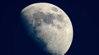 चांद पर भी जिंदा रह सकते हैं धरती के माइक्रोब्स! NASA की स्टडी में बड़ा खुलासा चांद पर भी जिंदा रह सकते हैं धरती के माइक्रोब्स! NASA की स्टडी में बड़ा खुलासा