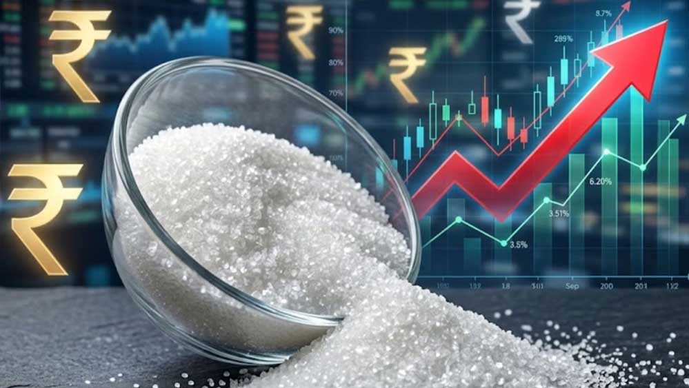 Govt On Sugar Price Hike: बेलगाम हुए चीनी के दाम, अल नीनो और रेड रॉट को लेकर सरकार ने बताई वजह Govt On Sugar Price Hike: बेलगाम हुए चीनी के दाम, अल नीनो और रेड रॉट को लेकर सरकार ने बताई वजह