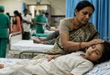Swine Flu का नया स्ट्रेन नहीं, फिर भी बढ़ रहे केस! जानें इम्यूनिटी का कितना बड़ा रोल