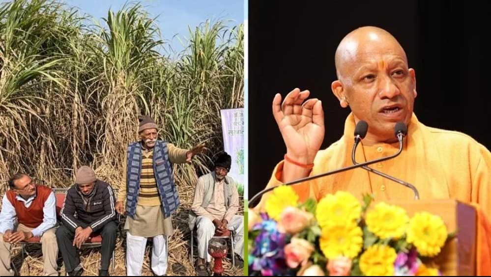 योगी सरकार ने गन्ना किसानों को किया 3.25 लाख करोड़ रुपये का भुगतान