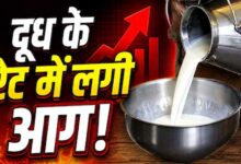 त्योहारों से पहले महंगाई का झटका! दूध के दाम सीधे ₹9 बढ़े, जानें नई कीमतें कब से लागू