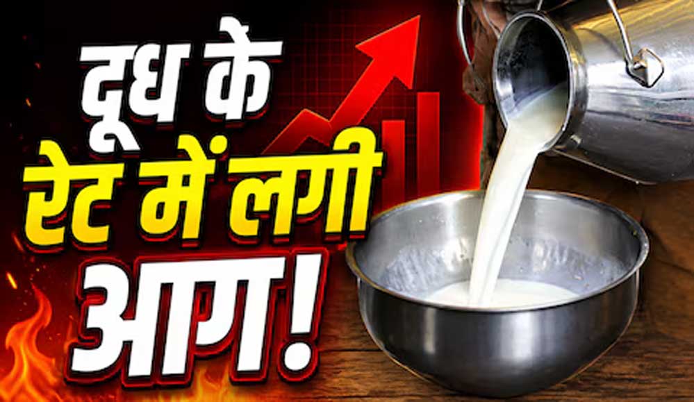 त्योहारों से पहले महंगाई का झटका! दूध के दाम सीधे ₹9 बढ़े, जानें नई कीमतें कब से लागू