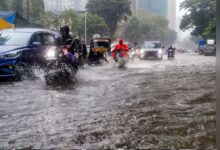 MP में अब तक कोटे की 73% बारिश, भिंड-निवाड़ी और सतना में सामान्य से ज्यादा बरसे बादल