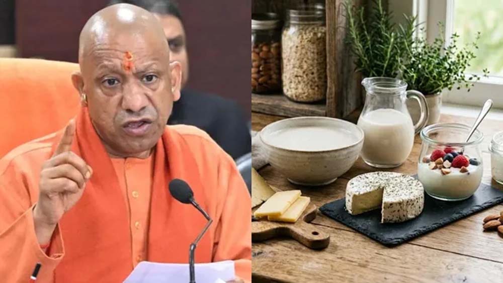 यूपी में एनालॉग डेयरी उत्पादों पर सख्ती, मिलावट मिलने पर जब्त होंगे दूध-घी-पनीर यूपी में एनालॉग डेयरी उत्पादों पर सख्ती, मिलावट मिलने पर जब्त होंगे दूध-घी-पनीर