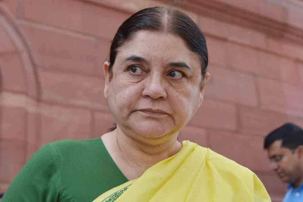 मेनका गांधी के हाथ से निकली 522 एकड़ जमीन, 51 साल पुराने विवाद में आया बड़ा फैसला मेनका गांधी के हाथ से निकली 522 एकड़ जमीन, 51 साल पुराने विवाद में आया बड़ा फैसला