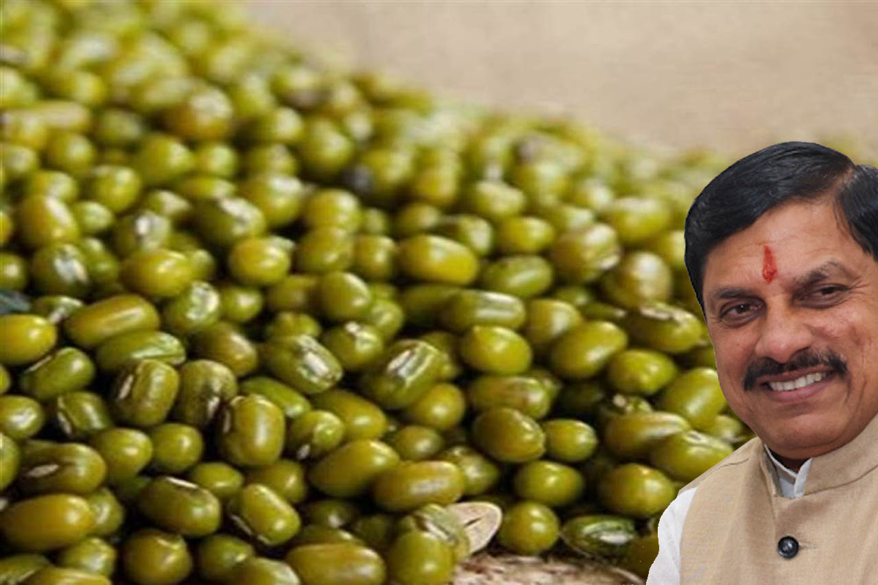 MP MSP Mung Procurement: मध्य प्रदेश में मूंग खरीदी का नया प्लान लागू, किसानों को मिलेगा बड़ा फायदा MP MSP Mung Procurement: मध्य प्रदेश में मूंग खरीदी का नया प्लान लागू, किसानों को मिलेगा बड़ा फायदा