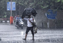 MP Weather Update: मध्य प्रदेश में अब तक सिर्फ 15.4 इंच बारिश, 42 जिलों में सामान्य से कम वर्षा; अगले 2 दिन भारी बारिश नहीं
