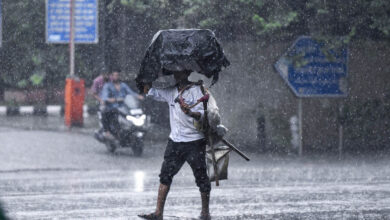 MP Weather Update: मध्य प्रदेश में अब तक सिर्फ 15.4 इंच बारिश, 42 जिलों में सामान्य से कम वर्षा; अगले 2 दिन भारी बारिश नहीं