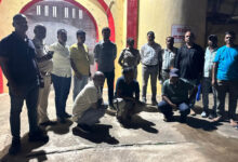 हाथीदांत तस्करी पर वन विभाग की बड़ी कार्रवाई