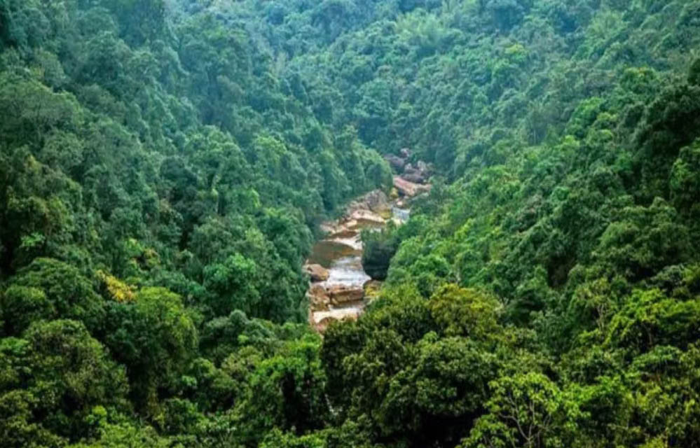 मध्य प्रदेश में हरियाली पर बड़ा संकट! 371.54 वर्ग किमी जंगल घटे, माइनिंग और निर्माण के लिए बदली गई वन भूमि मध्य प्रदेश में हरियाली पर बड़ा संकट! 371.54 वर्ग किमी जंगल घटे, माइनिंग और निर्माण के लिए बदली गई वन भूमि