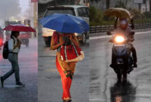 MP Weather: अगले 3 दिन तेज बारिश का अलर्ट, 49 जिलों में बारिश की कमी; सूखे जैसे हालात से राहत की उम्मीद