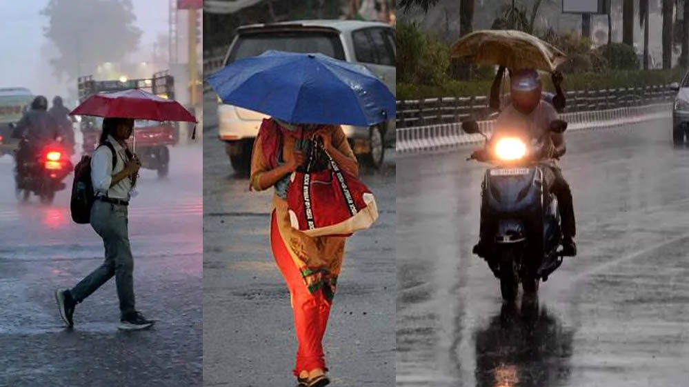 MP Weather: अगले 3 दिन तेज बारिश का अलर्ट, 49 जिलों में बारिश की कमी; सूखे जैसे हालात से राहत की उम्मीद MP Weather: अगले 3 दिन तेज बारिश का अलर्ट, 49 जिलों में बारिश की कमी; सूखे जैसे हालात से राहत की उम्मीद