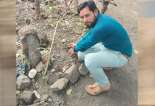 प्रदेश संगठन मंत्री चंद्रशेखर राठौर ने लगाए आम का पौधे