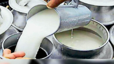 देश में अव्वलः 38.8 मिलियन मीट्रिक टन दुग्ध उत्पादन के साथ उत्तर प्रदेश शीर्ष पर