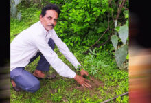 अनूपपुर जिला अध्यक्ष प्रकाश सोनी ने लगाए  नीम का पौधे