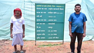 संरक्षित खेती और उद्यानिकी से जशपुर के किसान अनारथ साय ने लिखी आत्मनिर्भरता की नई कहानी