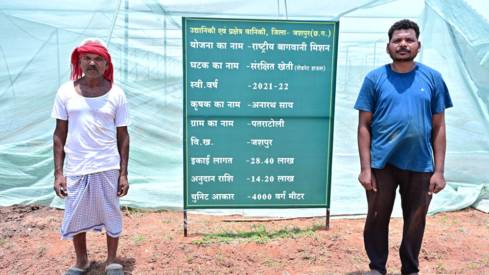 संरक्षित खेती और उद्यानिकी से जशपुर के किसान अनारथ साय ने लिखी आत्मनिर्भरता की नई कहानी संरक्षित खेती और उद्यानिकी से जशपुर के किसान अनारथ साय ने लिखी आत्मनिर्भरता की नई कहानी