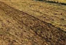 लखनऊ में 2 हजार करोड़ की सरकारी जमीन घोटाले से मचा हड़कंप, 10 अफसर जांच के घेरे में