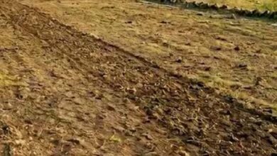 लखनऊ में 2 हजार करोड़ की सरकारी जमीन घोटाले से मचा हड़कंप, 10 अफसर जांच के घेरे में लखनऊ में 2 हजार करोड़ की सरकारी जमीन घोटाले से मचा हड़कंप, 10 अफसर जांच के घेरे में