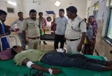 बाघिन ने किया चरवाहे पर हमला, भैंसों की वफादारी से बची जान