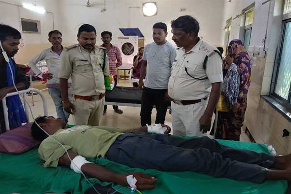 बाघिन ने किया चरवाहे पर हमला, भैंसों की वफादारी से बची जान बाघिन ने किया चरवाहे पर हमला, भैंसों की वफादारी से बची जान