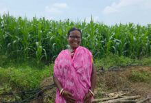 “बहनों का मान, विष्णु भैया का सम्मान—महिलाओं के सशक्तिकरण से समृद्ध छत्तीसगढ़ महान”