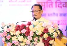विभाजन की पीड़ा से सीख लेकर देश की एकता और अखंडता को अक्षुण्ण रखना हम सभी का दायित्व : मुख्यमंत्री विष्णुदेव साय