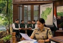 CG में प्रशिक्षु IFS अधिकारियों की पहली फील्ड पोस्टिंग, परख सारडा बने सुकमा के DFO