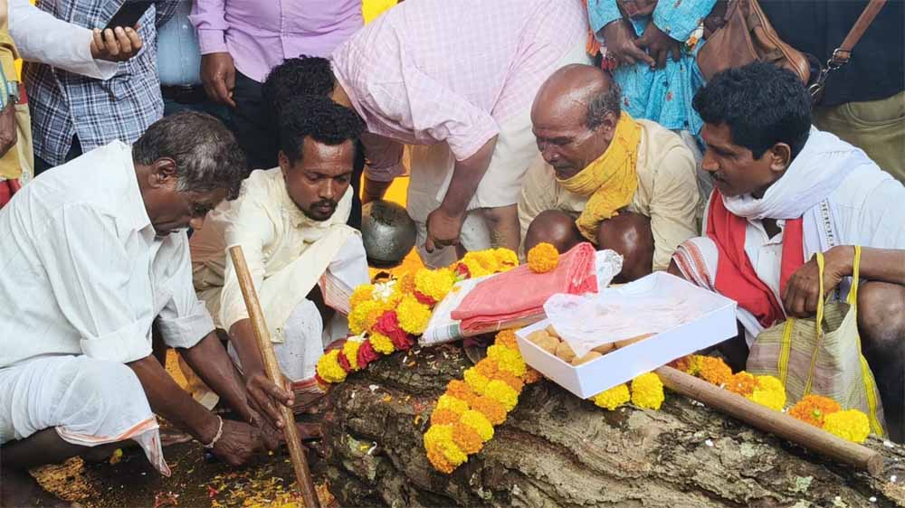 Bastar दशहरा की पहली रस्म शुरू, जंगल से साल की लकड़ी लाकर मां दंतेश्वरी को किया समर्पित Bastar दशहरा की पहली रस्म शुरू, जंगल से साल की लकड़ी लाकर मां दंतेश्वरी को किया समर्पित