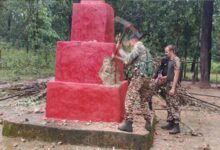 बस्तर में पहली बार बेअसर रहा नक्सलियों का शहीदी सप्ताह, सुरक्षा बलों की रणनीति रही सफल