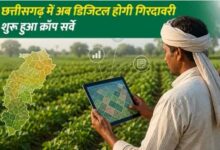CG में खेतों के डिजिटल रिकॉर्ड से बदलेगी कृषि व्यवस्था, किसानों को मिलेगा फायदा