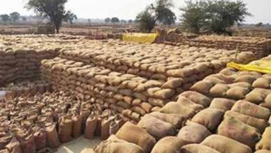 धान खरीदी केंद्र में ₹1.31 करोड़ की गड़बड़ी, संस्था प्रबंधक समेत दो गिरफ्तार धान खरीदी केंद्र में ₹1.31 करोड़ की गड़बड़ी, संस्था प्रबंधक समेत दो गिरफ्तार