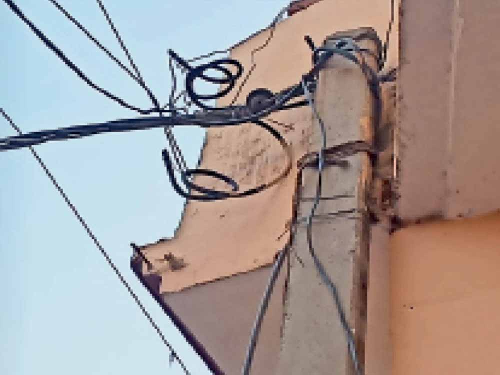 बस्तर में केबल व्यवस्था से बिजली चोरी पर लगी रोक, बिजली विभाग को मिली बड़ी राहत बस्तर में केबल व्यवस्था से बिजली चोरी पर लगी रोक, बिजली विभाग को मिली बड़ी राहत