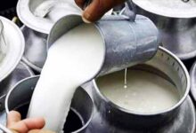 CG में मिलावटखोरों पर सख्त हुए स्वास्थ्य मंत्री, दूध-दही और मक्खन में गड़बड़ी करने वालों को चेतावनी