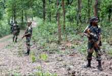 CG सरकार का बड़ा सहारा, माओवादी हिंसा में अपनों को खोने वाले 15 परिवारों को मिले ₹2.25 करोड़
