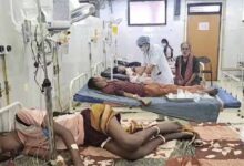 बिलासपुर में मलेरिया से एक की मौत, 2 नए मरीज मिलने से स्वास्थ्य विभाग अलर्ट