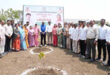 धमतरी के शासकीय ITI परिसर में बन रहा ‘ऑपरेशन सिंदूर उद्यान’, देशभक्ति की दिखेगी झलक