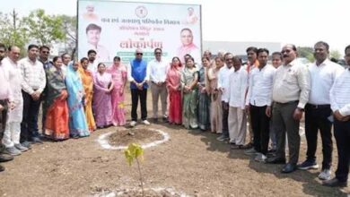 धमतरी के शासकीय ITI परिसर में बन रहा ‘ऑपरेशन सिंदूर उद्यान’, देशभक्ति की दिखेगी झलक