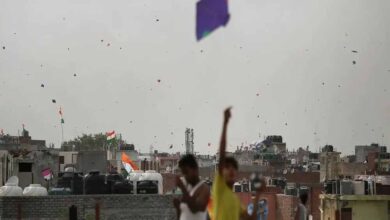 स्वतंत्रता दिवस पर पतंगबाजी को लेकर अलर्ट, Tata Power-DDL ने बिजली तारों से दूर रहने की अपील
