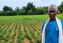 NMEO योजना से किसान बेसाहू राम की खेती को मिली नई दिशा