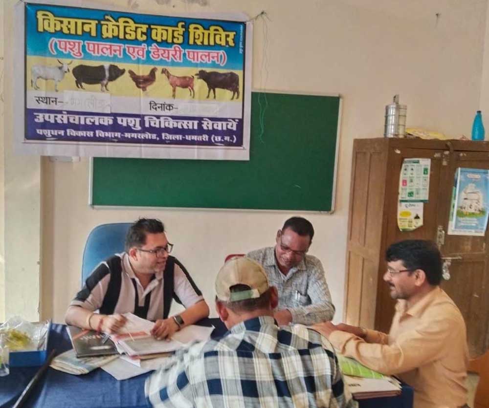 शुपालन केसीसी से धमतरी के 93 पशुपालकों को मिली 98.62 लाख की वित्तीय संजीवनी