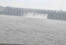 शहडोल में बाणसागर बांध के 8 गेट खुले, जलस्तर खतरे के निशान तक पहुंचा