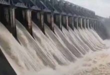Jabalpur में उफान पर नर्मदा, बरगी बांध के 13 गेट खोले गए