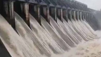 Jabalpur में उफान पर नर्मदा, बरगी बांध के 13 गेट खोले गए