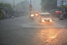 MP Weather: भोपाल-जबलपुर समेत कई जिलों में भारी बारिश का अलर्ट, IMD ने जारी की चेतावनी